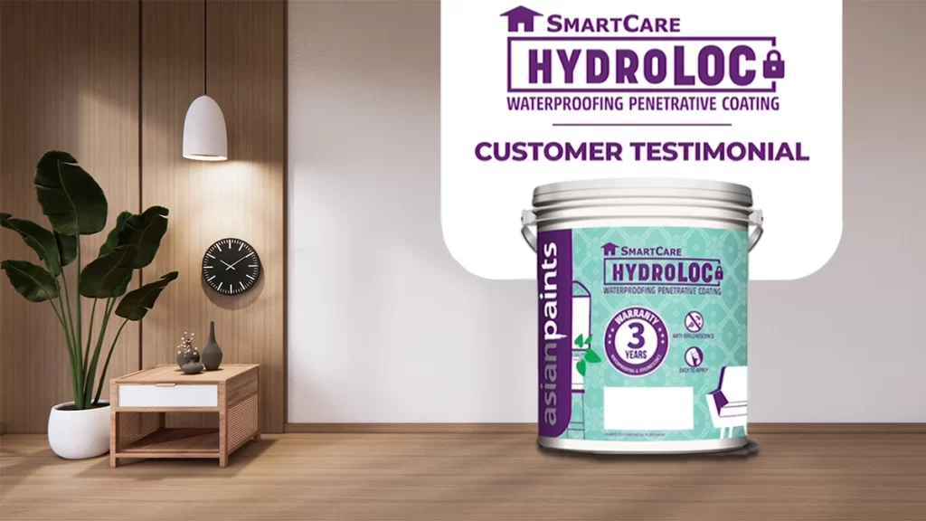 easy solution for walls damaged by dampness