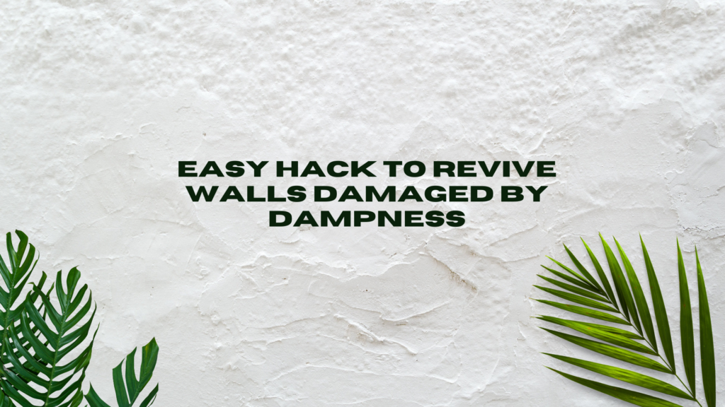 White Green Leaves Plants Wall Desktop Wallpaper - DIY for Damp Walls: Complete Guide